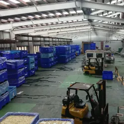 Buderim Ginger Factory - Buderim