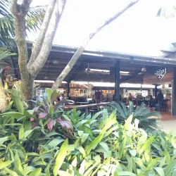 Buderim Ginger Factory - Buderim