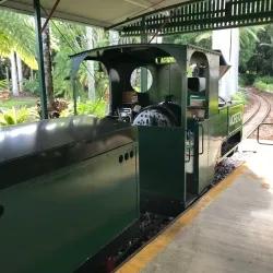 Buderim Ginger Factory - Buderim