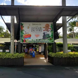 Buderim Ginger Factory - Buderim