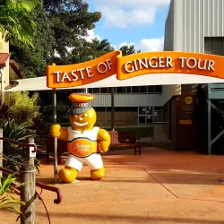 Buderim Ginger Factory - Buderim