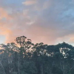 Buderim Skate Park - Buderim