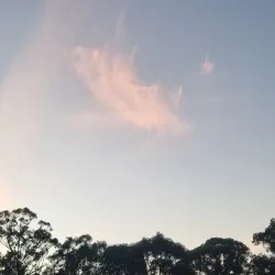 Buderim Skate Park - Buderim