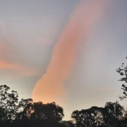 Buderim Skate Park - Buderim