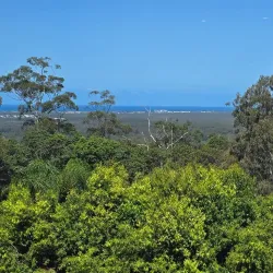 Buderim Tavern - Buderim