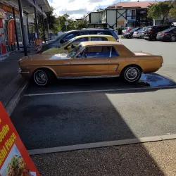 Buderim Village Markets - Buderim