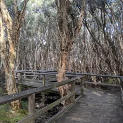 Big Swamp Wildlife Park - Bunbury