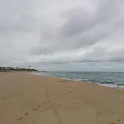 Big Swamp Wildlife Park - Bunbury