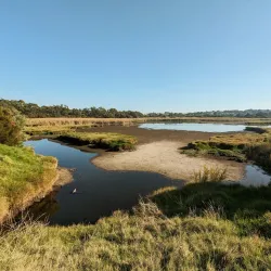 Big Swamp Wildlife Park - Bunbury