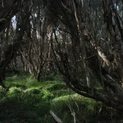 Big Swamp Wildlife Park - Bunbury