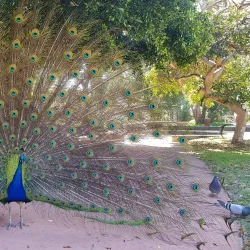 Big Swamp Wildlife Park - Bunbury