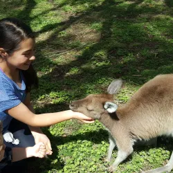 Big Swamp Wildlife Park - Bunbury