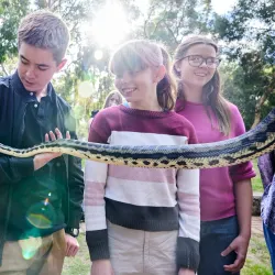 Bunbury Wildlife Park - Bunbury