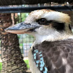 Bunbury Wildlife Park - Bunbury