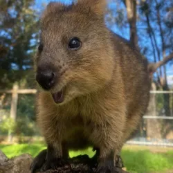Bunbury Wildlife Park - Bunbury