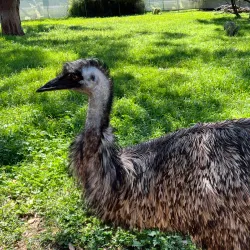 Bunbury Wildlife Park - Bunbury
