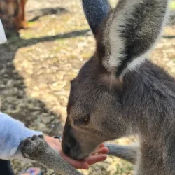 Bunbury Wildlife Park - Bunbury
