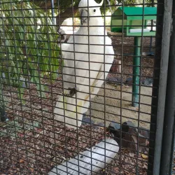 Bunbury Wildlife Park - Bunbury