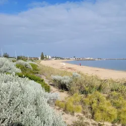 Dolphin Discovery Centre - Bunbury