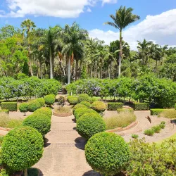Bundaberg Botanic Gardens - Bundaberg
