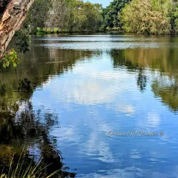 Bundaberg Botanic Gardens - Bundaberg