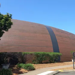 Bundaberg Brewed Drinks - Bundaberg