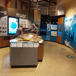 Mon Repos Turtle Centre - Bundaberg