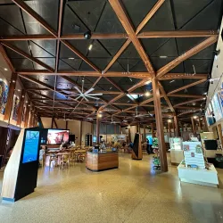 Turtle Encounters at Mon Repos Conservation Park - Bundaberg