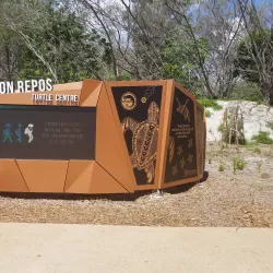 Turtle Encounters at Mon Repos Conservation Park - Bundaberg