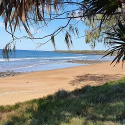 Turtle Encounters at Mon Repos Conservation Park - Bundaberg