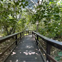 Turtle Encounters at Mon Repos Conservation Park - Bundaberg