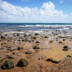 Turtle Encounters at Mon Repos Conservation Park - Bundaberg