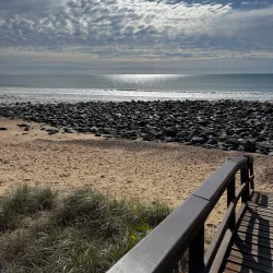 Turtle Encounters at Mon Repos Conservation Park - Bundaberg