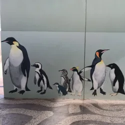 Big Penguin Statue - Burnie