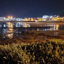 Big Penguin Statue - Burnie