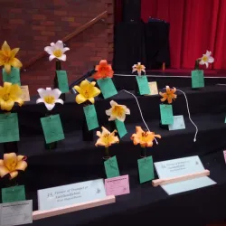 Burnie Arts and Function Centre - Burnie