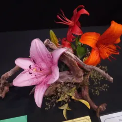 Burnie Arts and Function Centre - Burnie