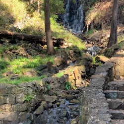 Burnie Park - Burnie