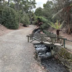 Burnie Park - Burnie