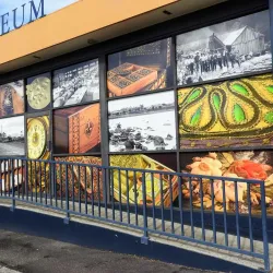 Burnie Regional Museum - Burnie