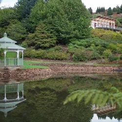 Emu Valley Rhododendron Garden - Burnie
