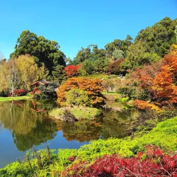 Emu Valley Rhododendron Garden - Burnie