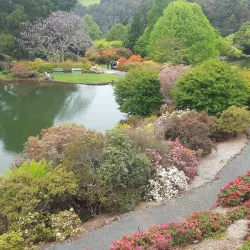 Emu Valley Rhododendron Garden - Burnie