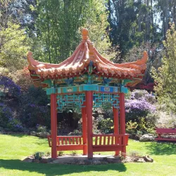 Emu Valley Rhododendron Garden - Burnie