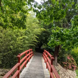 Emu Valley Rhododendron Garden - Burnie