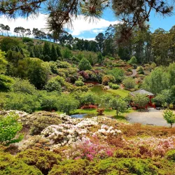 Emu Valley Rhododendron Garden - Burnie