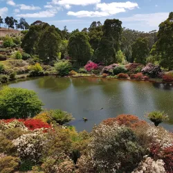 Emu Valley Rhododendron Garden - Burnie