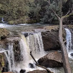 Guide Falls - Burnie