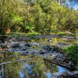 Guide Falls - Burnie