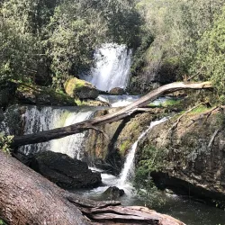 Guide Falls - Burnie